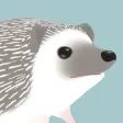 Hedgehog Life - New Edition