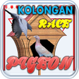 Ikon program: Kolongan Pigeon Race