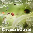 Icoon van programma: Botanicula