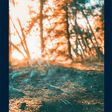 Icoon van programma: HD Background Photo Editi…