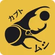 プログラムのアイコン：Kmushicoin Wallet