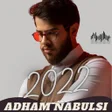 أيقونة البرنامج: أدهم نابلسي 2022 النسخة ا…