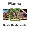 Иконка программы: Manna Bible Flash Cards
