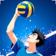 Enjoy volleyball