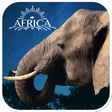 Icon of program: Real Elephant SimulationG…