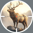 ไอคอนของโปรแกรม: Animal Shooting: Jungle H…
