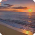 Icon of program: Sunset Beach Live Wallpap…