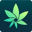 HiGrade: THC Testing  Cannabis Growing Assistant