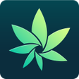 プログラムのアイコン：HiGrade: THC Testing  Can…