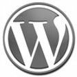 Icon of program: WordPress Stats Plugin
