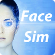 プログラムのアイコン：Face Simulation - FaceSim