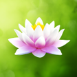 程序图标：Japanese Garden Moments