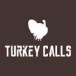 أيقونة البرنامج: Turkey Calls