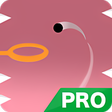 Icono de programa: Break Hoop PRO