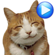 プログラムのアイコン：ANIMATED WAstickerApps Ca…