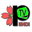プログラムのアイコン：Piindi Tv