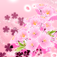 رمز البرنامج: Japanese Sakura Wallpaper