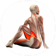 Ikona programu: Yoga Anatomy Guide