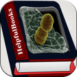Ikon program: Bacteria