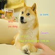 Icon of program: Doge Pricer