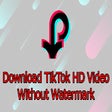 Icono de programa: Tiktok Video Downloader
