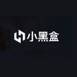 Programikonen: 黑盒语音
