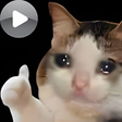 Icon of program: Cat Animated Stickers WAS…