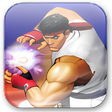 프로그램 아이콘: Street Fighter II' Champi…