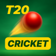 Biểu tượng của chương trình: Cricket T20 Insight