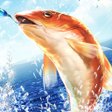 プログラムのアイコン：Fishing King :The Urban A…