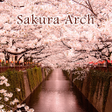 プログラムのアイコン：Wallpaper Sakura Arch The…