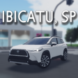 Icon of program: IBICATU ALPHA v3