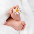 Icon of program: Mein Baby - Ich bin schwa…