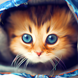 程序图标：Cute Cats Live Wallpaper