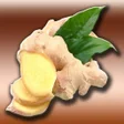 Иконка программы: Vertus du gingembre