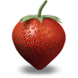 プログラムのアイコン：HealthNut