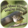 Ikona programu: 1000 Kicau Burung Lengkap…