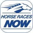 プログラムのアイコン：Horse Races Now