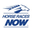 Ikona programu: Horse Races Now