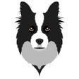 Programın simgesi: Sheepdog World