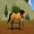 프로그램 아이콘: DreamWorks Spirit Lucky's…