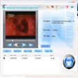 Icon of program: Okoker All Video Splitter