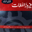 程序图标：Persian Urdu Dictionary