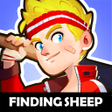 Icon of program: Finding Sheep