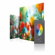 Symbol des Programms: MAGIX Digital Foto Maker