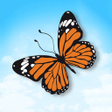 程序图标：Indian Butterflies