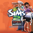 Programikonen: The Sims 2: Open for Busi…
