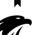 Programikonen: Eagle Drop