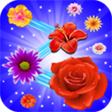 Symbol des Programms: Flower Blast