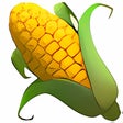 Ikona programu: Web Acknowledgement